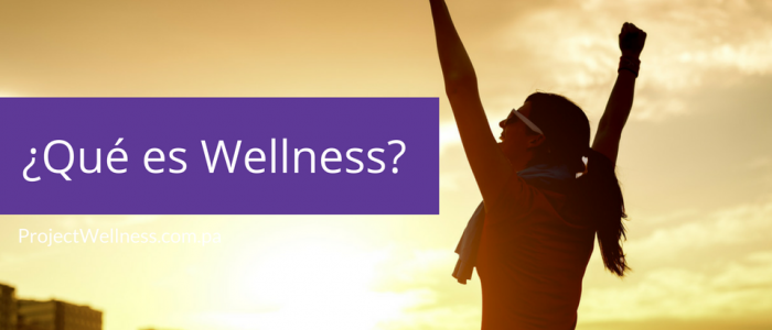 Qué es Wellness - Project Wellness